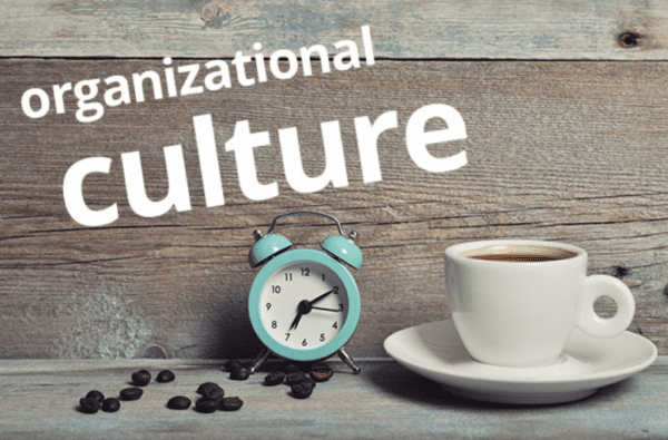 Organizational culture