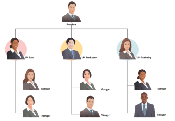 Functional management model for enterprises